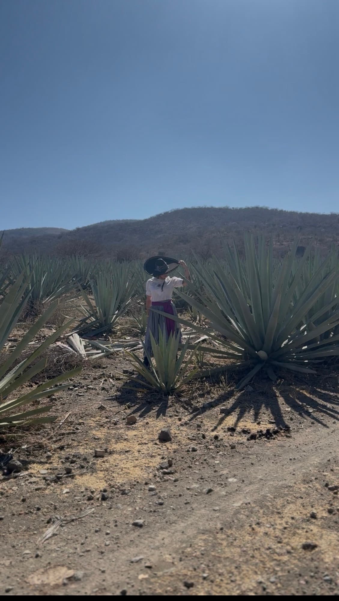 Historic Haciendas of Oaxaca Hacienda Guegorene, San Pedro Taviche